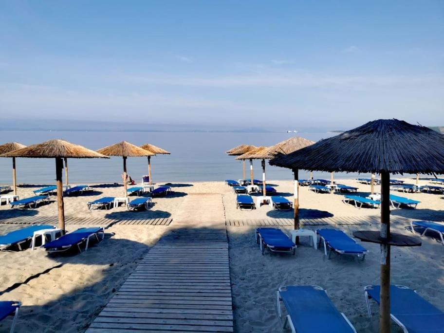 Camping Drepanos Hotel Igoumenitsa Eksteriør billede